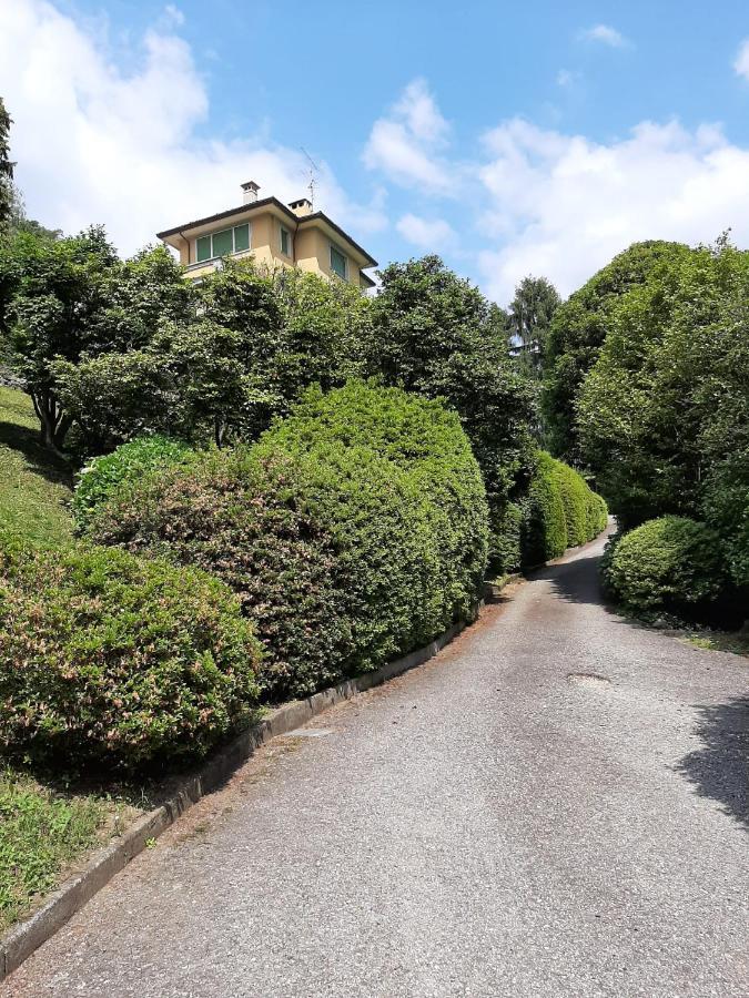 Bmp Apartment Gioiosa 2 Giardino Vista Lago Maggiore Belgirate Extérieur photo